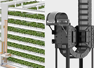 Cost down, life up with vertical farming