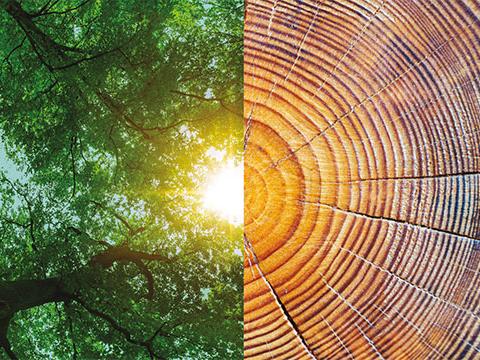 ABB launches Real Progress campaign to accelerate global sustainability