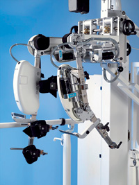 A step forward in motor function