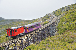 Advanced backstopping clutch technology cures problem on famous cog railway
