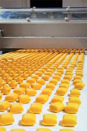 NSK Life-Lube bearings drive cost-saving improvements in food plants