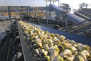 ABB Ability System 800xA Sugar Library boosts manufacturers