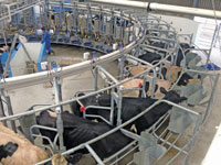 OEM offers dairy farmers 60% energy saving using variable-speed drives