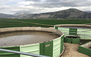 From buffalo mozzarella to green energy