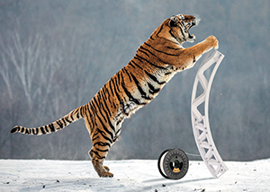 3D printing goes large