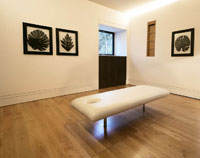 HepcoMotion benefits rub off on Meia massage table