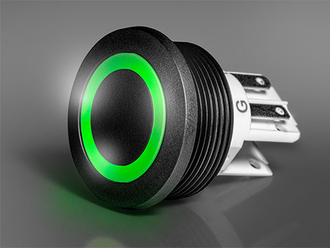 Vandal-resistant pushbutton switch with high-performance polymer housing