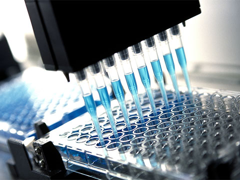 The hidden role of motion systems in electronic pipetting