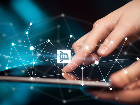 Secure remote access to machines and systems