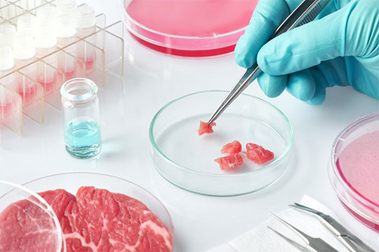 Production of cultivated meat and the importance of valve control