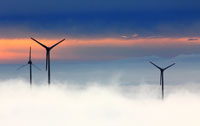 REO releases whitepaper urging renewable reform