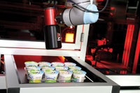 Robot vision aids food product inspection