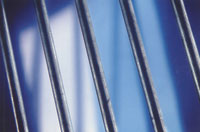 You're in secure hands with these spring steels