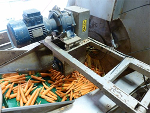 NSK Life-Lube bearings improve the reliability of vegetable washing operations