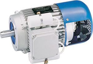 Carpanelli motors direct from the manufacturer with cost savings