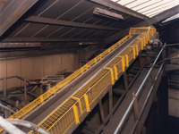 Free white paper explains conveyor guarding