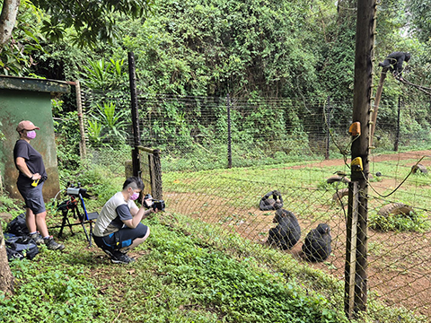 Flir thermal cameras help ecologists use temperature to monitor stress