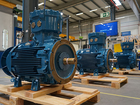 WEG supplies motors with IP67S protection