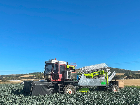 MTC Partners with UPP and S&A Produce to Accelerate Agri-Tech Innovation