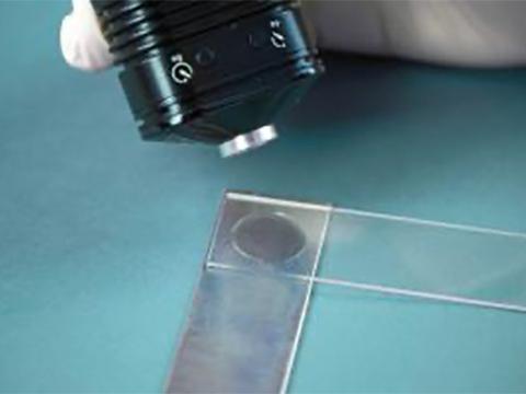 Biocompatible UV curable adhesive formulated for TPU bonding