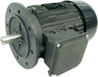 Carpanelli extends motor range to include NEMA dimensions