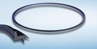 Economical seals for large dimensions