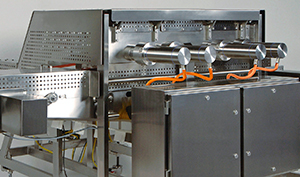 Control requirements for effective food production standards compliance