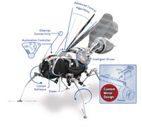 Custom motor design