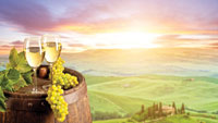 Electronic engineers help wine growers to vintage success