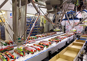 Robotic production line for Pets Choice