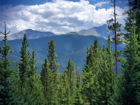 Rockwell Automation releases 2023 Sustainability Report