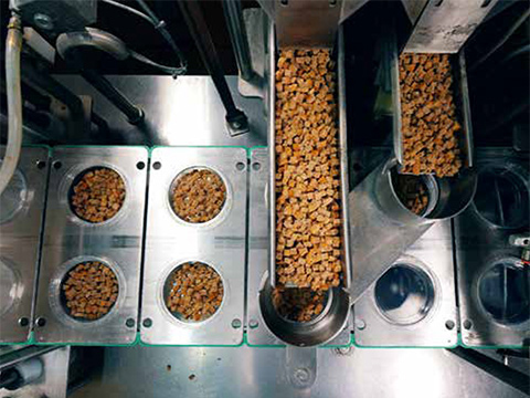 Two shows, one great event – MachineBuilding.Live and FoodManufacturing.Live
