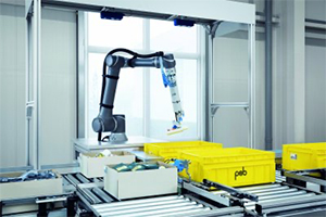 Fully automatic picking of unknown products from bulk material